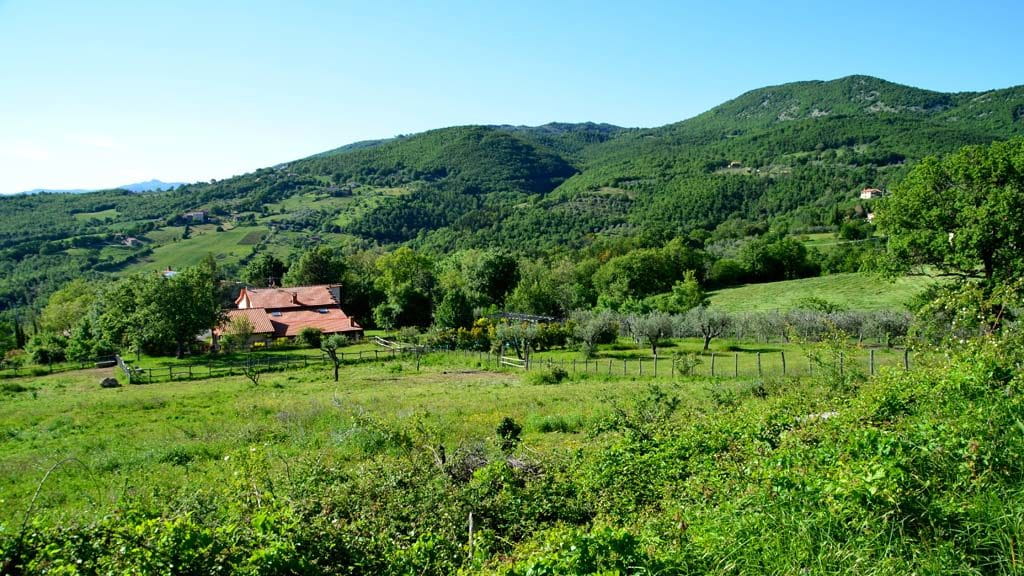 Ferienhaus Hermes Ornella Toskana