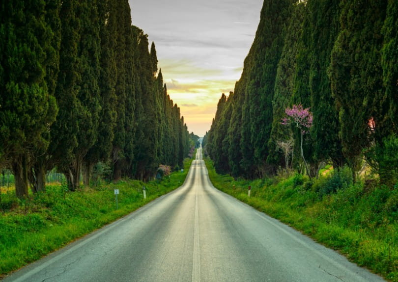 Straße in die Toskana