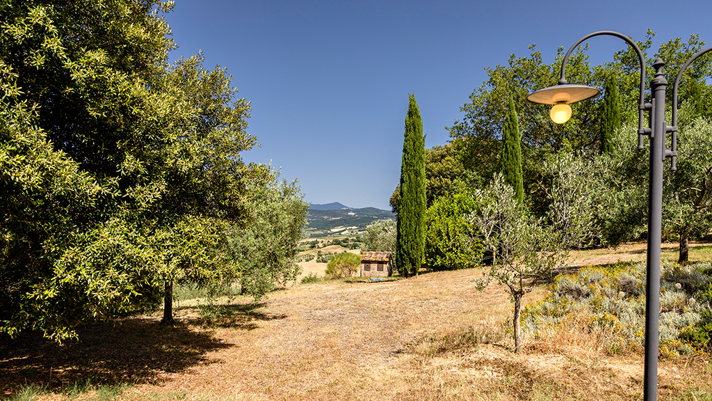 ferienhaus oliveta mit cinigiano toskana ausblick