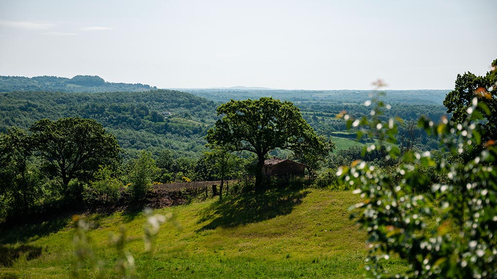 ferienhaus mondo felice mit privatem garten gemeinschaftspool toskana blick in die natur