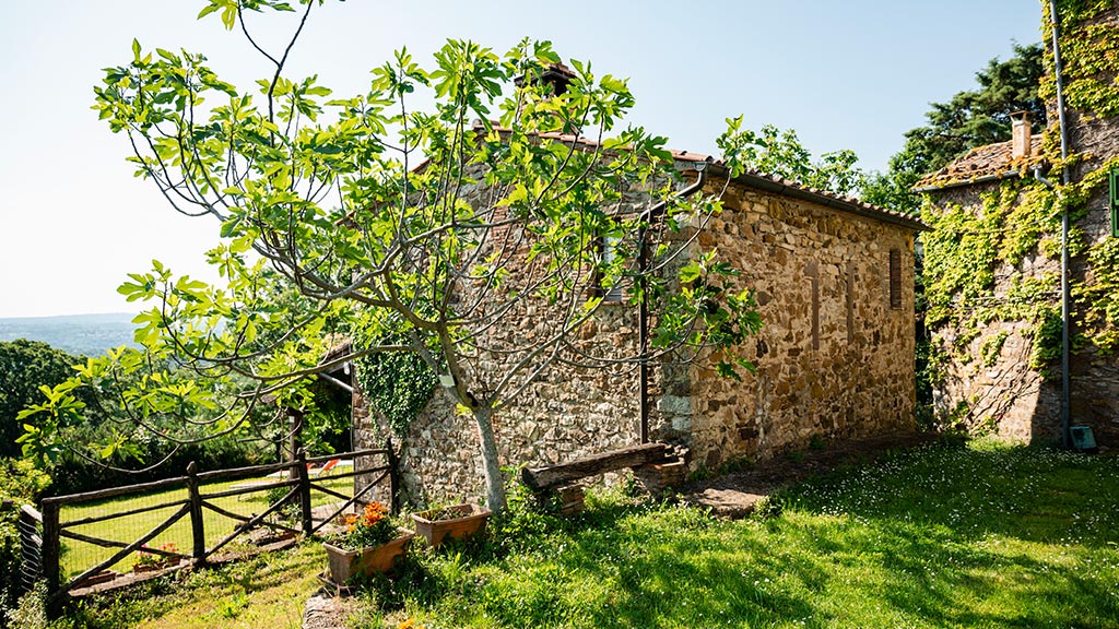 ferienhaus mondo felice mit privatem garten gemeinschaftspool toskana in der natur