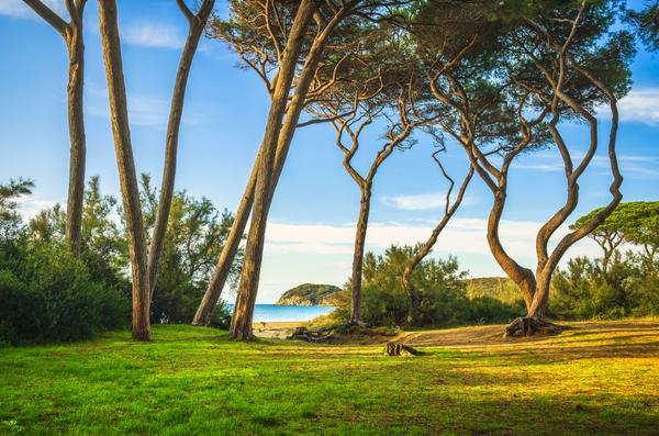 strand piombino