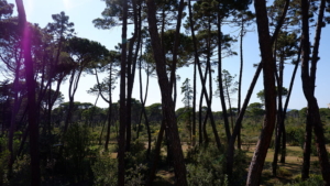 ausblick ferienwohnung lina