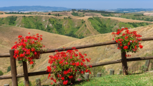 ausblick volterra
