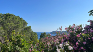 aussicht ferienhaus elba toskana