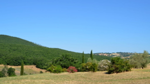 Ferienhaus Ausblick Toskana