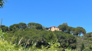 ferienhaus elba in wundervoller lage