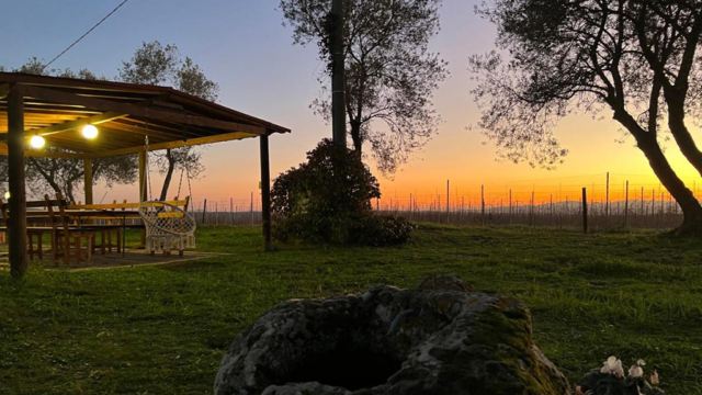 ferienhaus in den weinbergen toskana