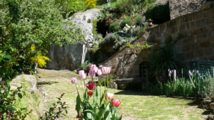 ferienhaus la cocceria toskana maremma aussen garten