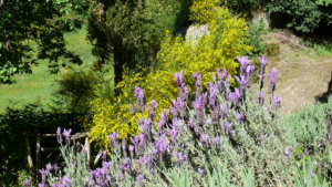 ferienhaus la cocceria toskana maremma garten