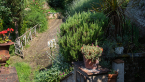 ferienhaus la cocceria toskana maremma zufahrt