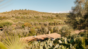ferienhaus massimo toskana ausblick