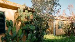 ferienhaus massimo toskana aussen
