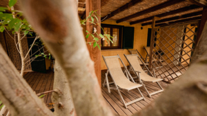ferienhaus massimo toskana liegestuehle