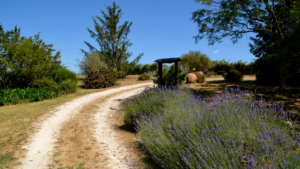 Ferienhaus Podere Lupinaio Maremma