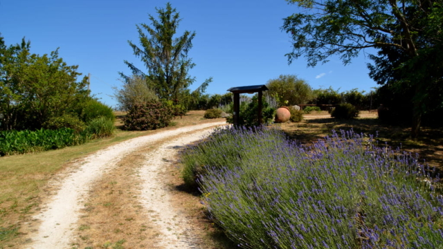 Ferienhaus Podere Lupinaio Maremma