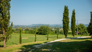 ferienhaus sasso bianco zufahrt