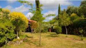 Ferienhaus Toskana Großer Garten