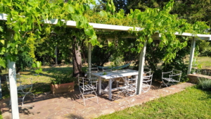 Ferienhaus Toskana Mit Pergola