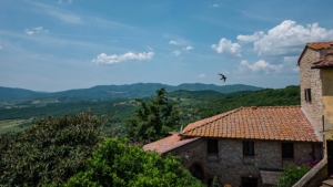 ferienhaus il palazzo sued toskana weitlaeufige landschaft