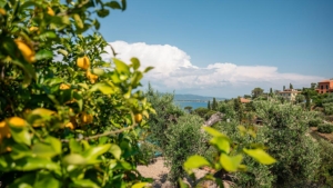 ferienhaus lacantoniera portosantostefano traumurlaub am meer zitronenbaeume und olivenbaeume
