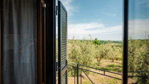 ferienhaus leformiche alleinlage mit grossem garten blick aus dem schlafzimmer