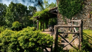 ferienhaus mondo felice mit privatem garten gemeinschaftspool toskana blick auf die terrasse