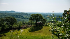 ferienhaus mondo felice mit privatem garten gemeinschaftspool toskana blick in die natur