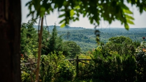 ferienhaus mondo felice mit privatem garten gemeinschaftspool toskana landschaft