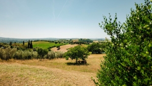 ferienhaus poggio di luca alleinlage ausblick pool toskanische landschaft