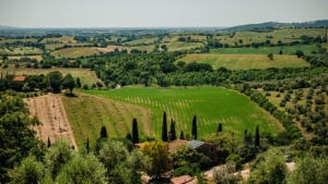 ferienhaus poggio di luca alleinlage ausblick pool umgebung