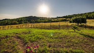 ferienunterkuenfte in der toskana bilder die landschaft