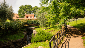 ferienwohnung giglio toskana terme di sorano spazieren