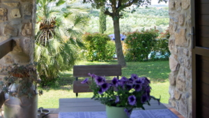 Ferienwohnung Marrucheti Maremma