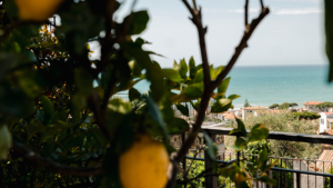 ferienwohnung ortensia castiglione della pescaia toskana ausblick