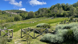 ferienwohnung serenita maremma toskana aussenbereich