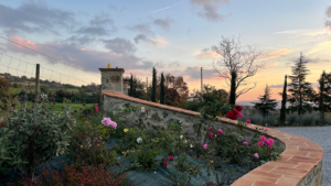 ferienwohnung serenita maremma toskana einfahrt