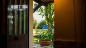 ferienwohnung volpe pitigliano maremma toskana blick in den garten
