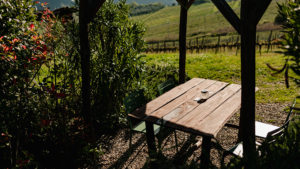 ferienwohnung weingut torre florenz toskana