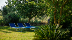 ferienwohnungen pitigliano mit pool garten