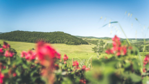 fernblick villa la fornace