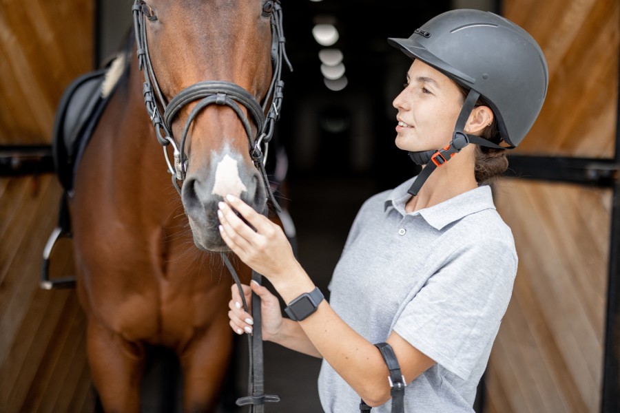 reiten in der toskana pferd