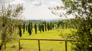 terme di sorano aussenbereich