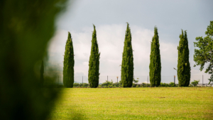 terme di sorano wellness urlaub toskana