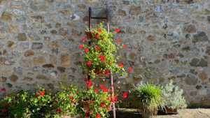 toll bepfanzter agriturismo toskana