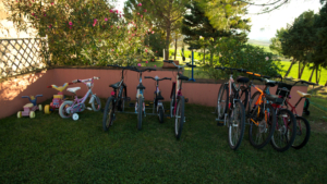 Toskana Urlaub Fahrräder Am Haus