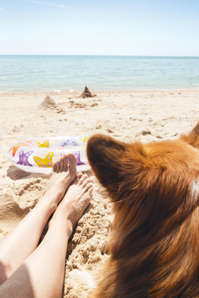 urlaub mit hund strand