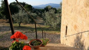 urlaub toskana casa upupa treppe ostseite