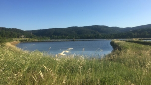 urlaub toskana italienische natur