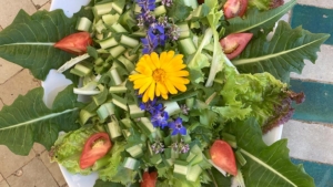 urlaub toskana italienischer salat